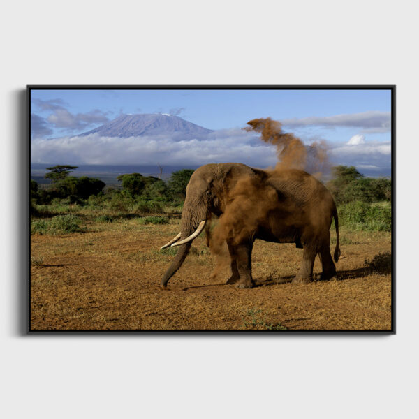 Solitaire 2 Lionel Maye Fine Art print Une image pour rever caisse americaine