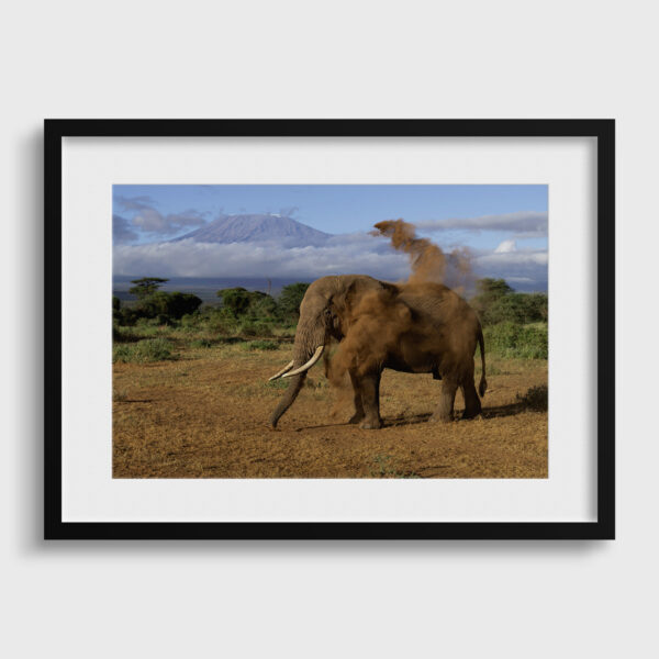 Solitaire 2 Lionel Maye Fine Art print An image for rever passe partout