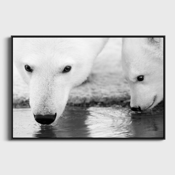 Une petites soif Lionel Maye Fine Art print Une image pour rever caisse americaine