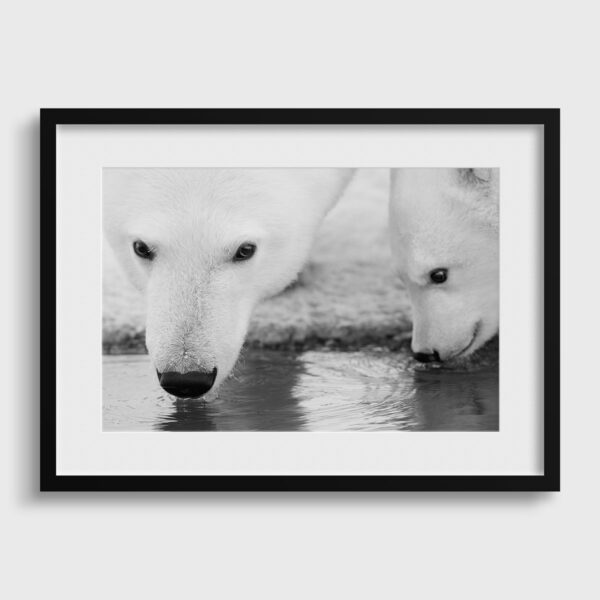 Une petites soif Lionel Maye Fine Art print Une image pour rever passe partout