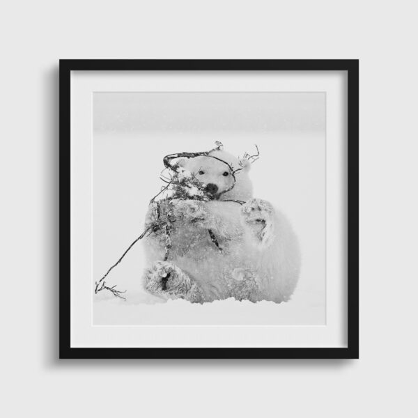 Bebe s amuse Lionel Maye tirage Fine Art Une image pour rever passe partout