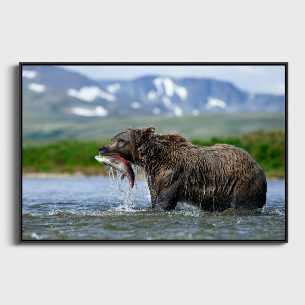 Belle peche Lionel Maye tirage Fine Art Une image pour rever caisse americaine