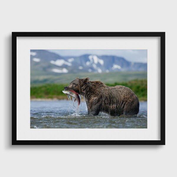 Belle peche Lionel Maye tirage Fine Art Une image pour rever passe partout