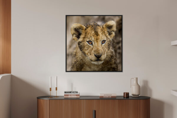 Bouille mouillee Lionel Maye tirage Fine Art Une image pour rever large caisse americaine en situation