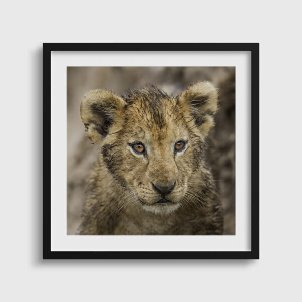 Bouille mouillee Lionel Maye tirage Fine Art Une image pour rever passe partout