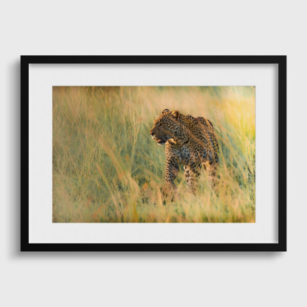 Camoufle Lionel Maye tirage Fine Art Une image pour rever passe partout