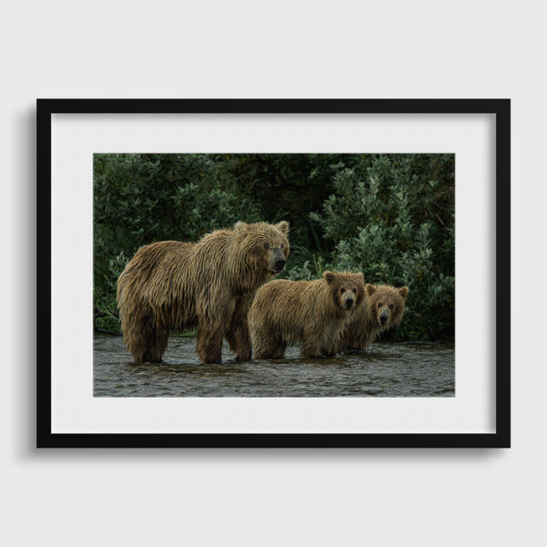 Coucou Lionel Maye tirage Fine Art Une image pour rever passe partout