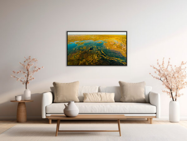 Delta de l'Okavango Lionel Maye Fine Art print An image to reveal an Floating frame in situation