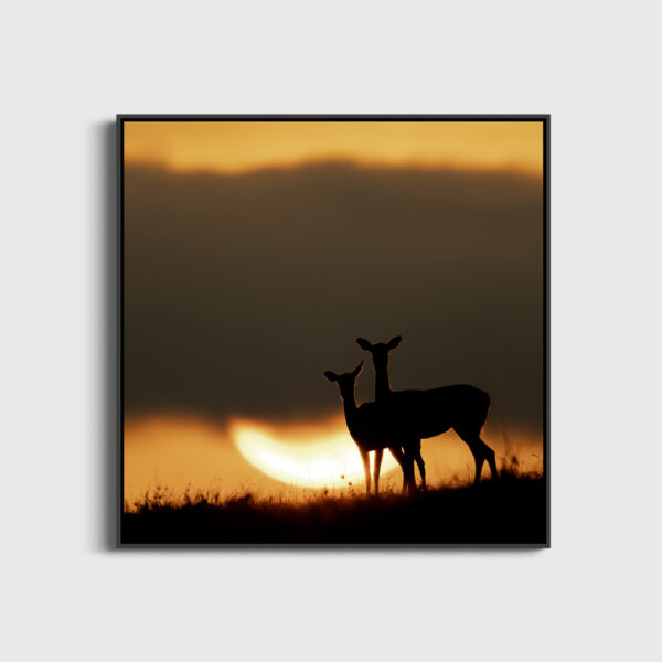 Doux spectacle Lionel Maye Fine Art print Une image pour rever large caisse americaine