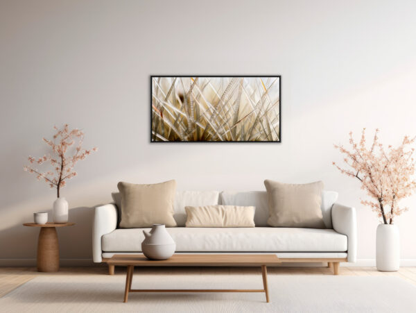 Echinocactus Pierre Chancy Fine Art print An image for rever caisse americaine in situation