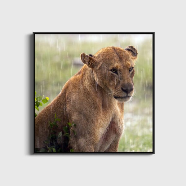 En attendant l'accalmie Lionel Maye Fine Art print An image to dream large Floating frame