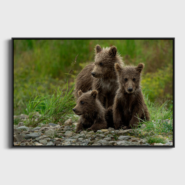 En attendant maman Lionel Maye Fine Art print Une image pour rever caisse americaine