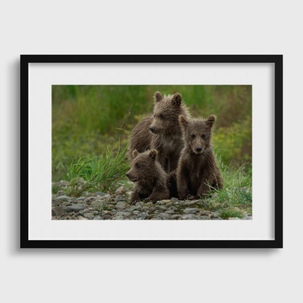 En attendant maman Lionel Maye Fine Art print Une image pour rever passe partout