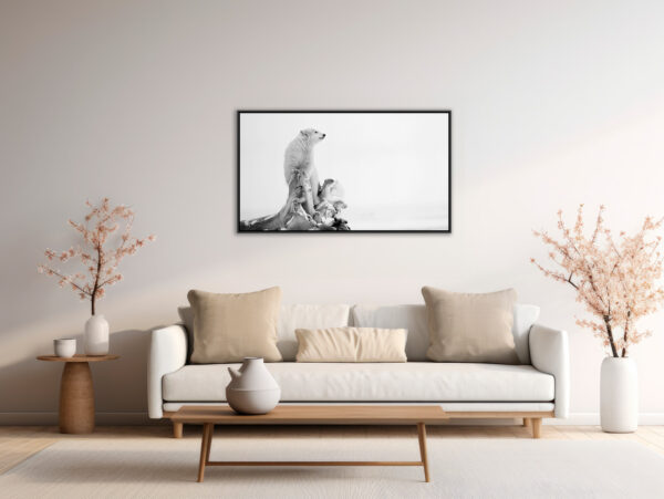 En equilibre Lionel Maye Fine Art print Une image pour rever Floating frame in situation
