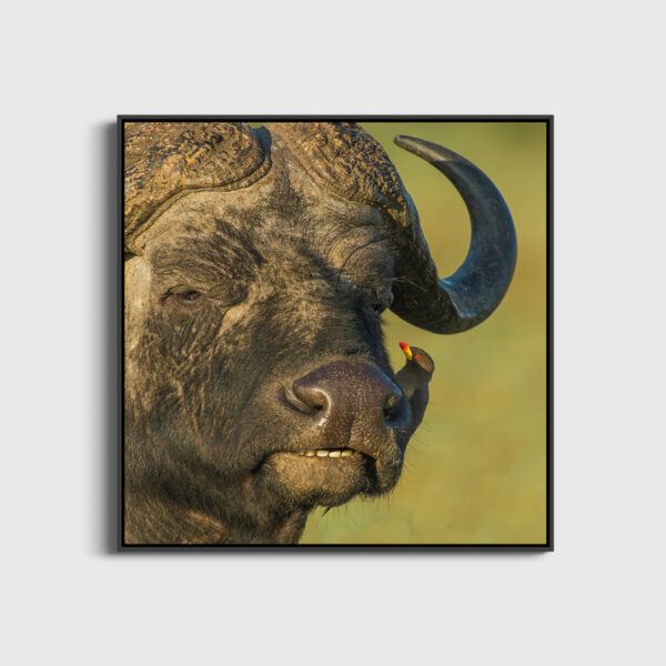 Entraide Lionel Maye Fine Art print Une image pour rever large caisse americaine