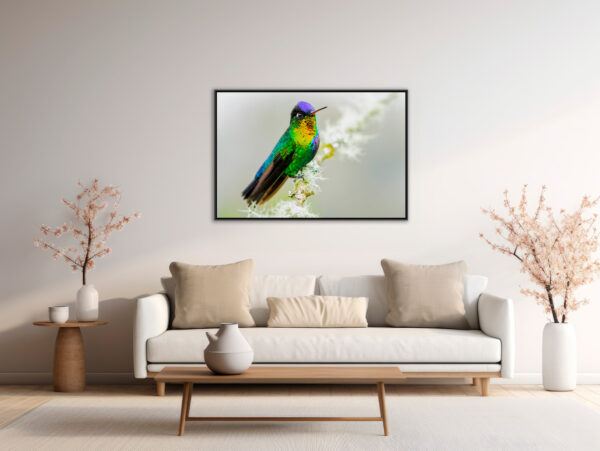 Explosion of colors Lionel Maye Fine Art print One image for rever caisse americaine en situation