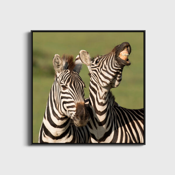 Funny story Lionel Maye Fine Art print A picture to dream large Floating frame