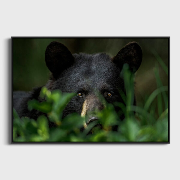 Hypnotism Lionel Maye Fine Art print Une image pour rever caisse americaine