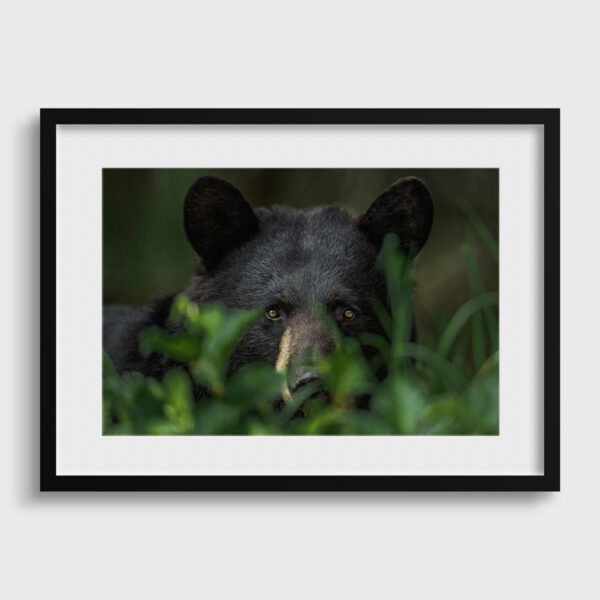 Hypnotism Lionel Maye Fine Art print An image for rever passe partout