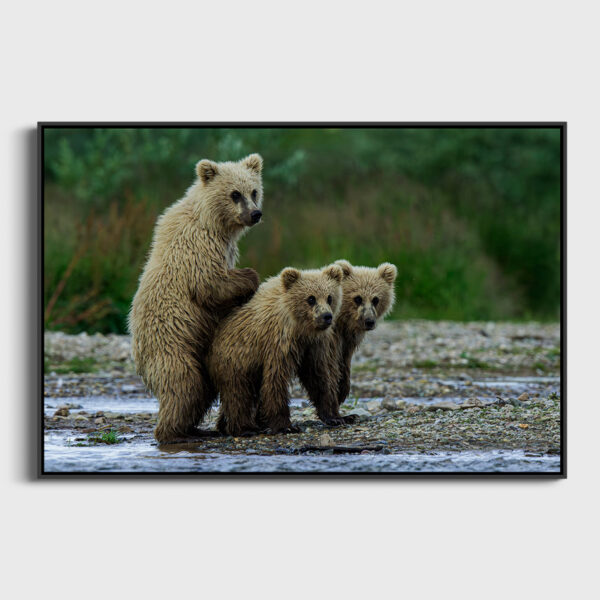 Pretty Lionel Maye glasses Fine Art print An image to reverberate floating frame