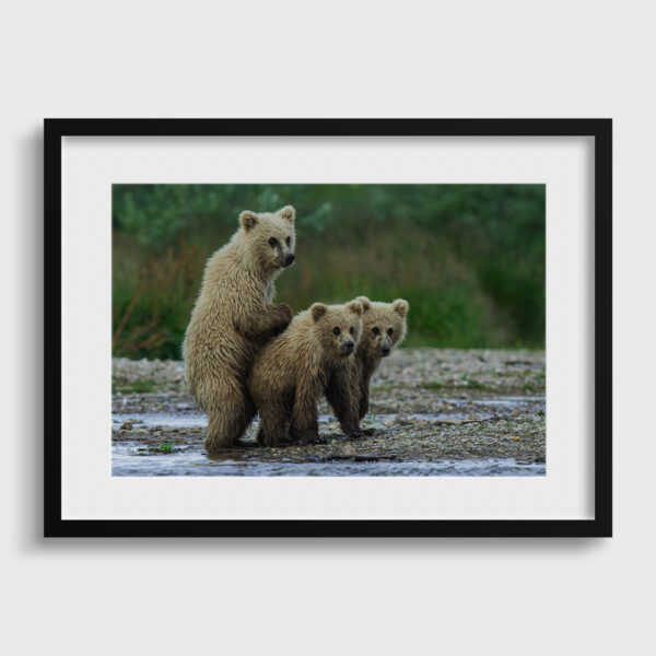 Pretty Lionel Maye glasses Fine Art print An image for rever passe partout