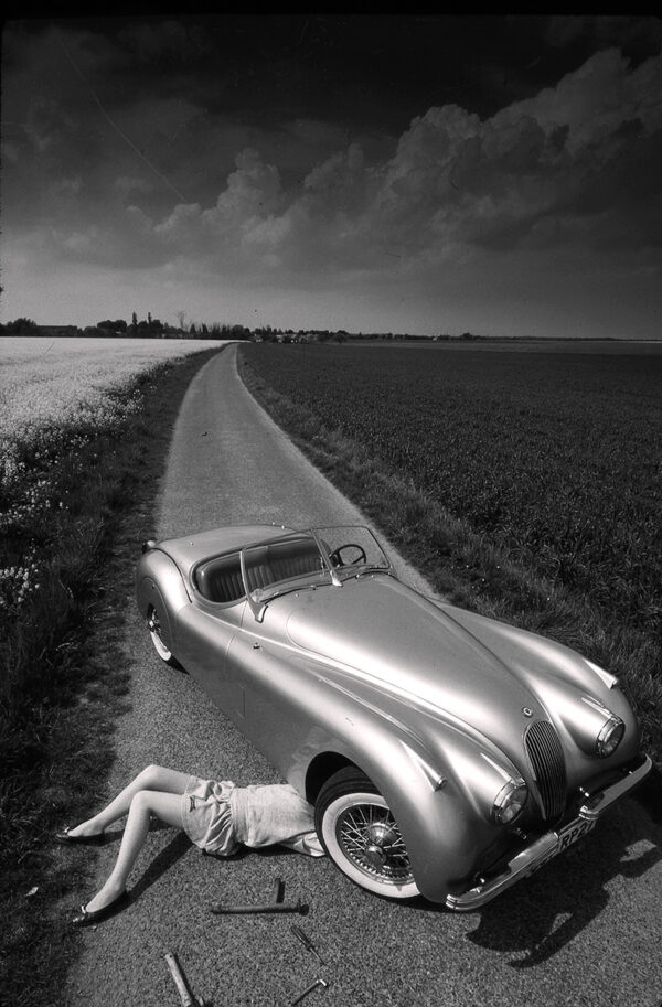 The sleeping beauty