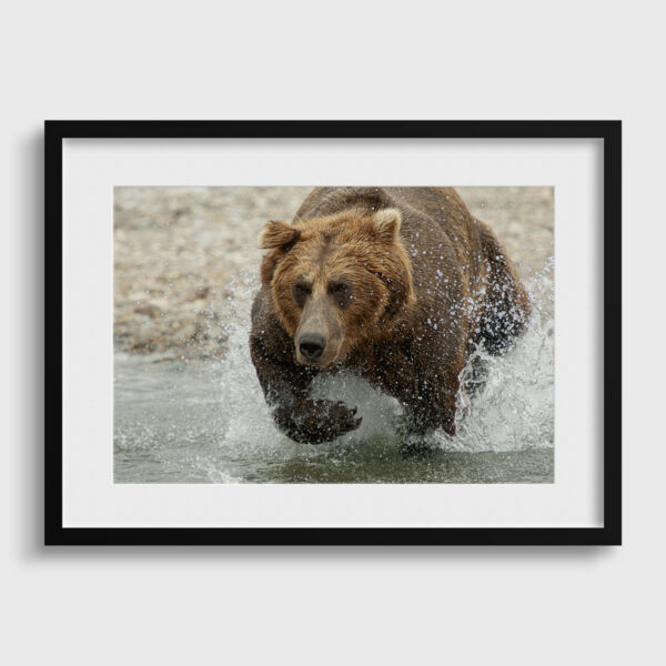 La charge Lionel Maye Fine Art print An image for rever passe partout
