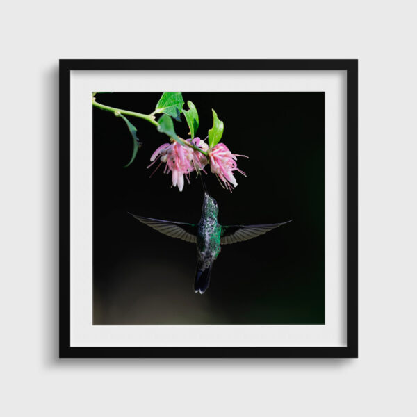 The flower and the bird Lionel Maye Fine Art print An image for rever passe partout