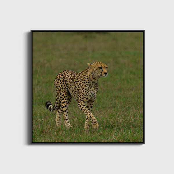 La grace Lionel Maye Fine Art print An image to dream large Floating frame