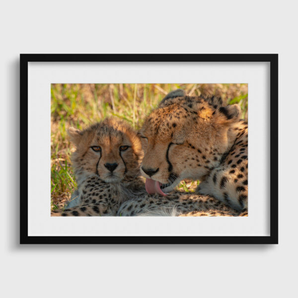 The Lionel Maye toilet Fine Art print An image for rever passe partout