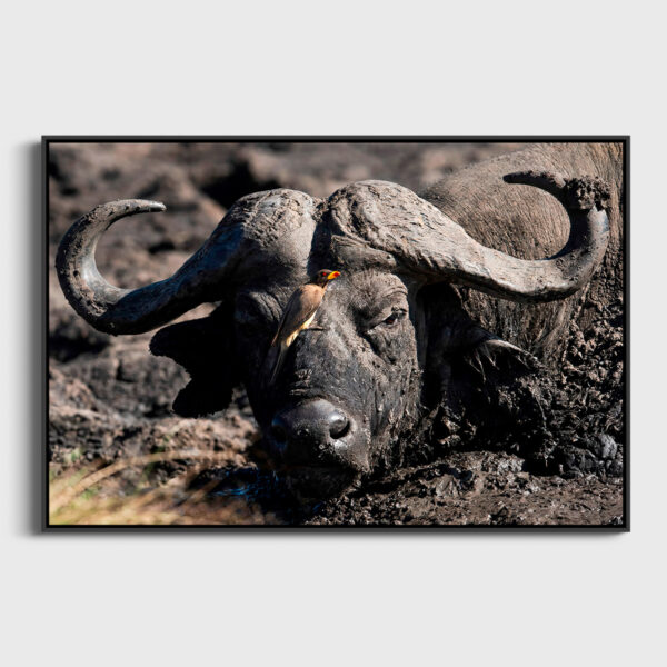 Le bain Lionel Maye Fine Art print An image for revering floating frame