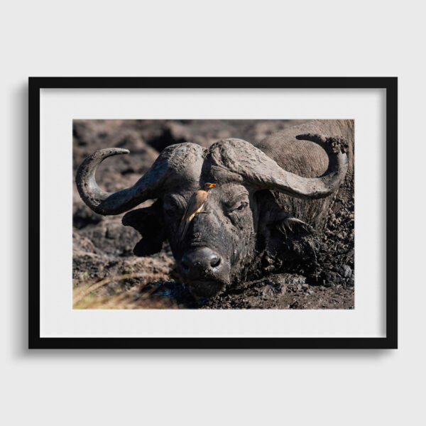 Lionel Maye bath Fine Art print An image for rever passe partout