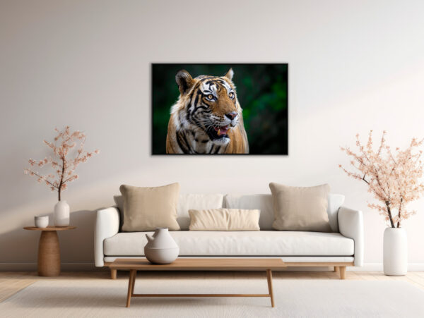 Lord of the jungle - Image 4