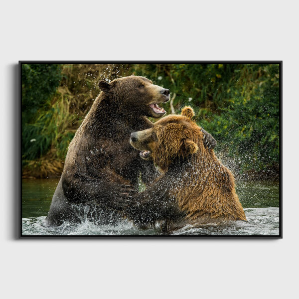 Luttes fraternelles Lionel Maye Fine Art print Une image pour rever caisse americaine