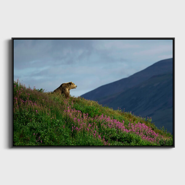 Ne jamais s'en faire Lionel Maye Fine Art print Une image pour rever caisse americaine