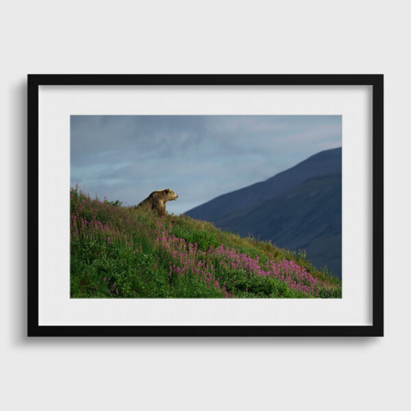 Never worry Lionel Maye Fine Art print An image for rever passe partout