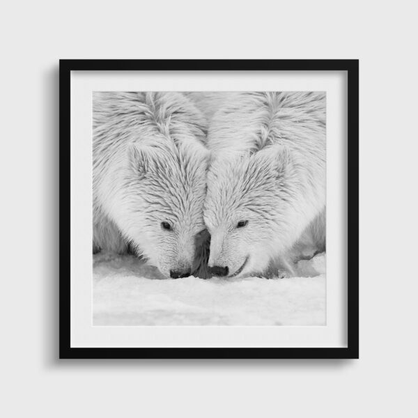 On sniffe la neige Lionel Maye Fine Art print Une image pour rever passe partout
