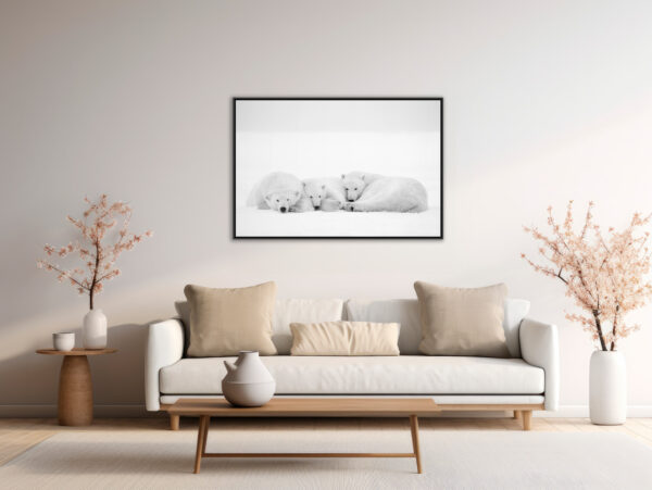 A little nap - Image 4