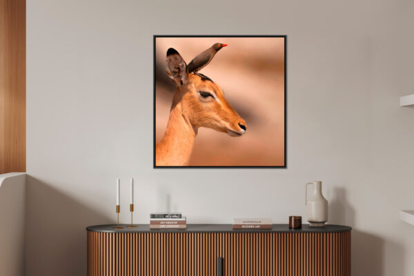 Portrait of a gazelle - Image 4