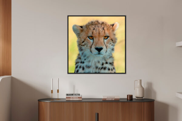 Regard envoutant 2 Lionel Maye tirage Fine Art Une image pour rever large caisse americaine en situation