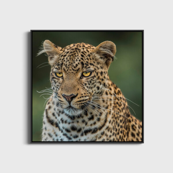 Eye-catching Lionel Maye Fine Art print An image for revering large Floating frame