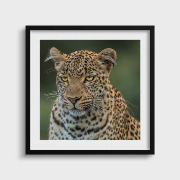 Eye-catching Lionel Maye Fine Art print An image for rever passe partout