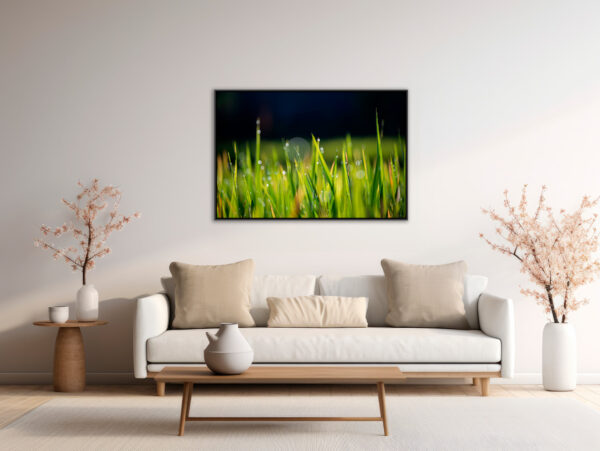 Riziere Bali Sebastien Desnoulez tirage Fine Art Une image pour rever caisse americaine en situation