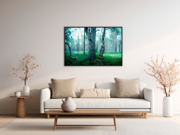 Sur la piste de l'elan 1 Pierre Chancy Fine Art print Une image pour rever passe partout Floating frame in situation