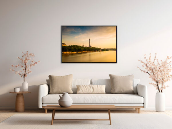 The Eiffel Tower and the Seine in flood - Image 4