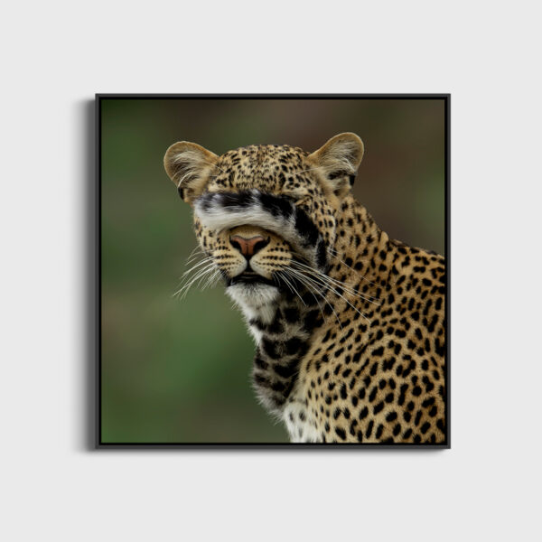 Tu ne me vois plus Lionel Maye Fine Art print An image to dream large Floating frame