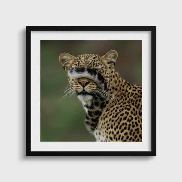 Tu ne me vois plus Lionel Maye Fine Art print Une image pour rever passe partout