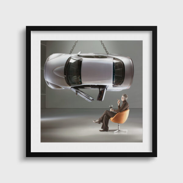 Vitesse suspendue Dingo Fine Art print An image for rever passe partout