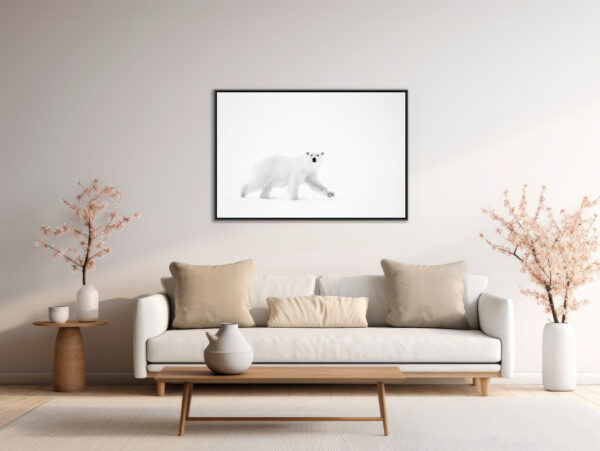 Arpenteur des Neiges Lionel Maye tirage Fine Art Une image pour rever caisse americaine en situation