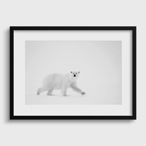 Arpenteur des Neiges Lionel Maye tirage Fine Art Une image pour rever passe partout